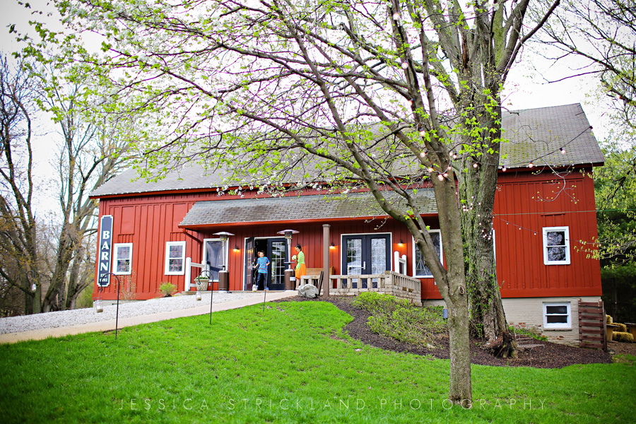 Noblesville-wedding